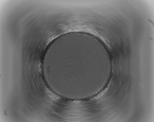 X0000095921497200801181406