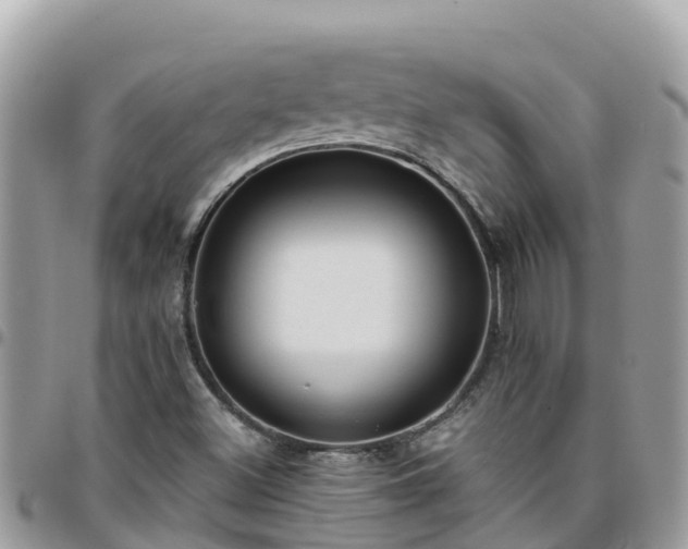 X0000095921500200801181406