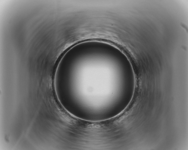 X0000095921505200801181406