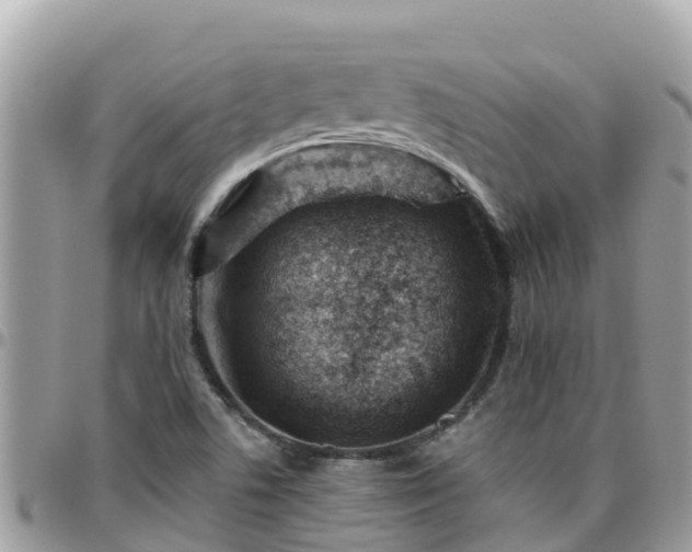 X0000095921506200801181406