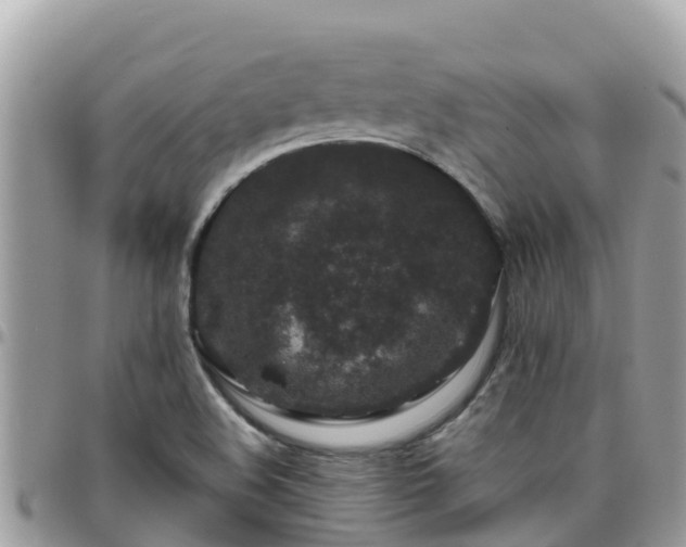 X0000095921508200801181406