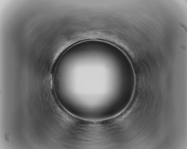 X0000095921509200801181406