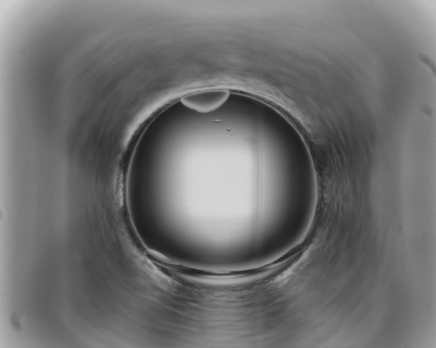 X0000095921510200801181406