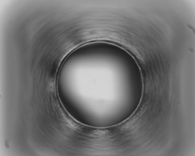 X0000095921513200801181406