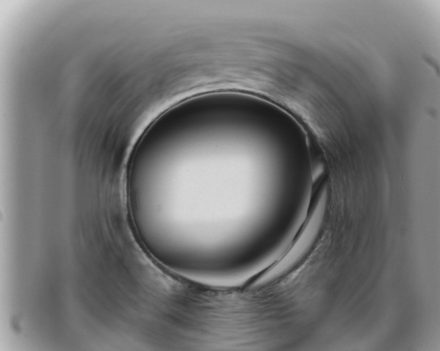 X0000095921516200801181406