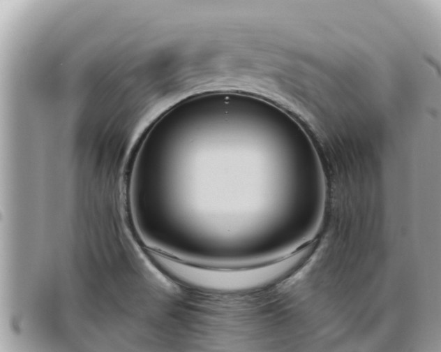 X0000095921517200801181406