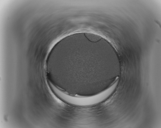 X0000095921519200801181406