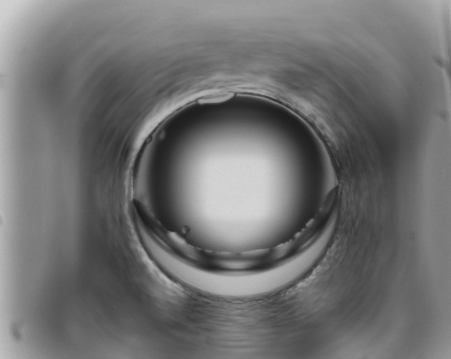 X0000095921520200801181406