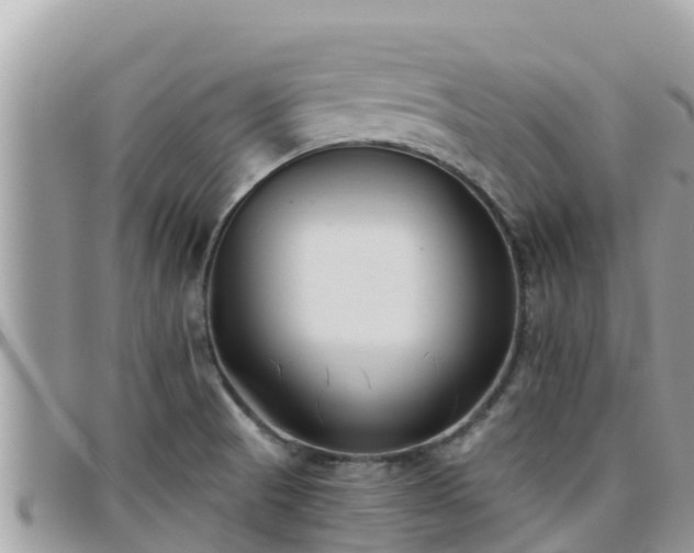 X0000095921521200801181406