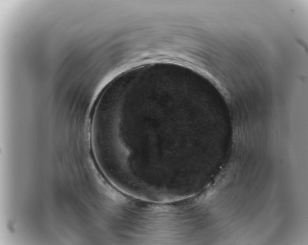 X0000095921522200801181406