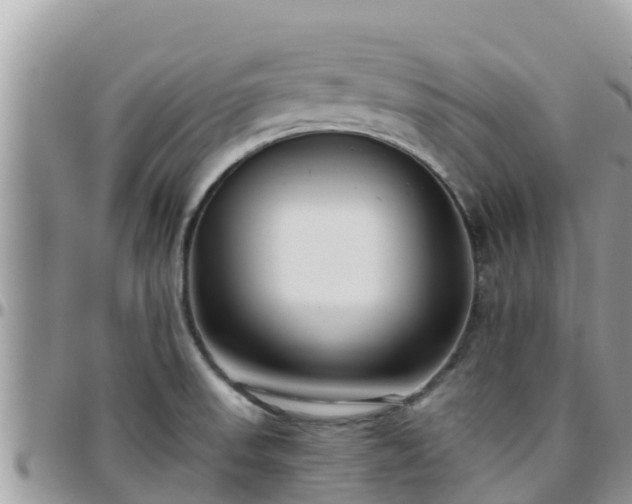 X0000095921523200801181406