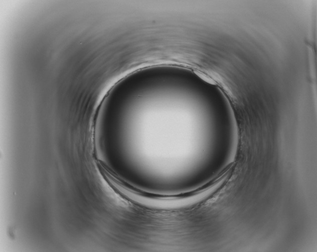 X0000095921524200801181406