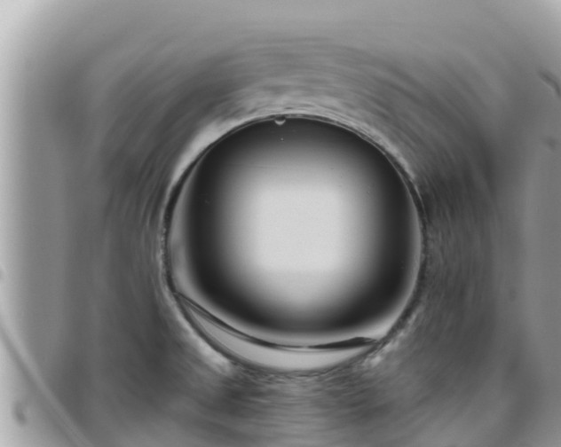 X0000095921525200801181406