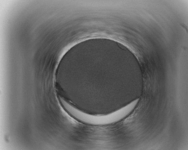 X0000095921527200801181406