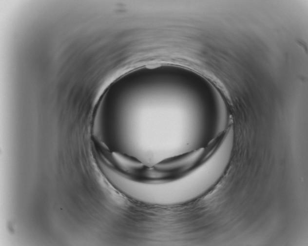 X0000095921530200801181406