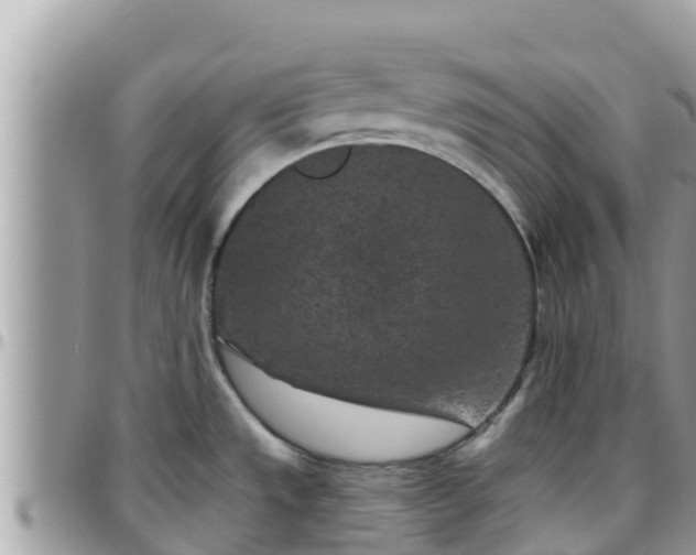 X0000095921533200801181406