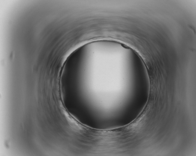 X0000095921534200801181406