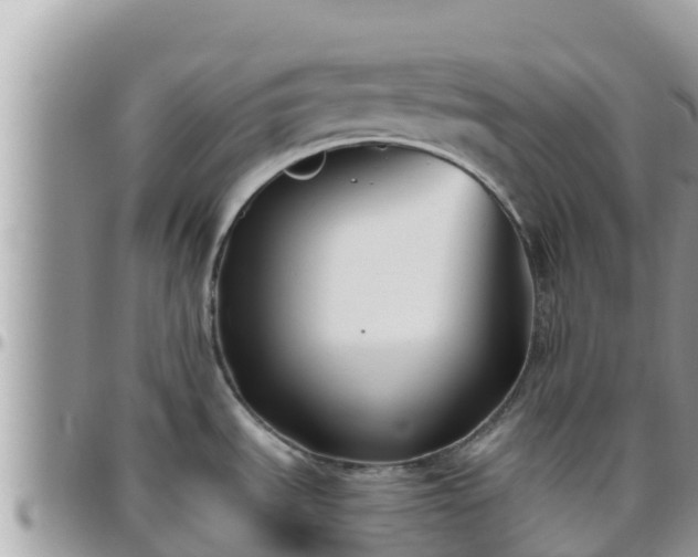 X0000095921535200801181407