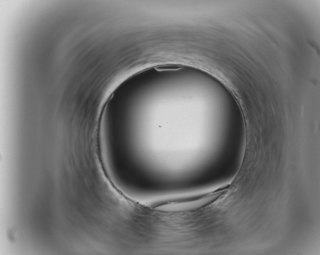 X0000095921536200801181407