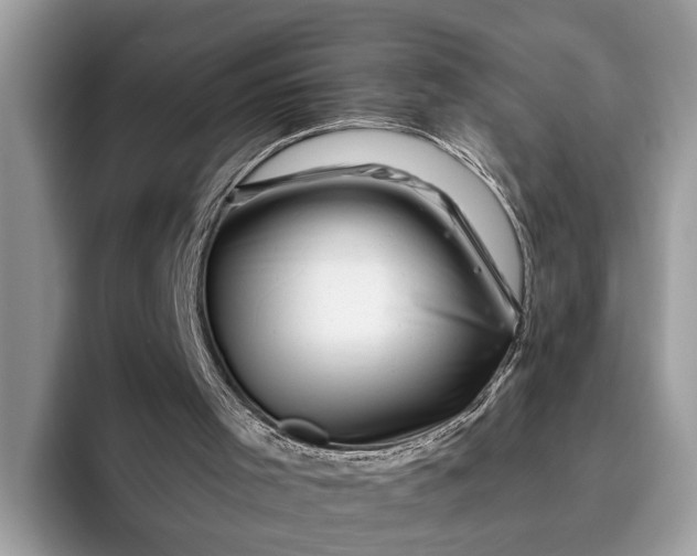 X0000095920001200801251039