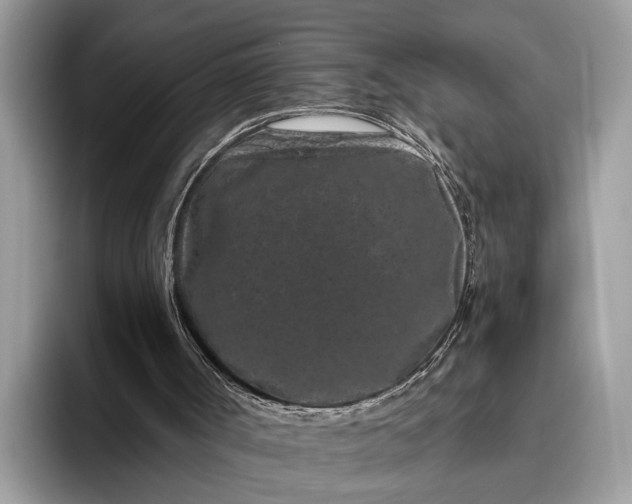 X0000095920002200801251039