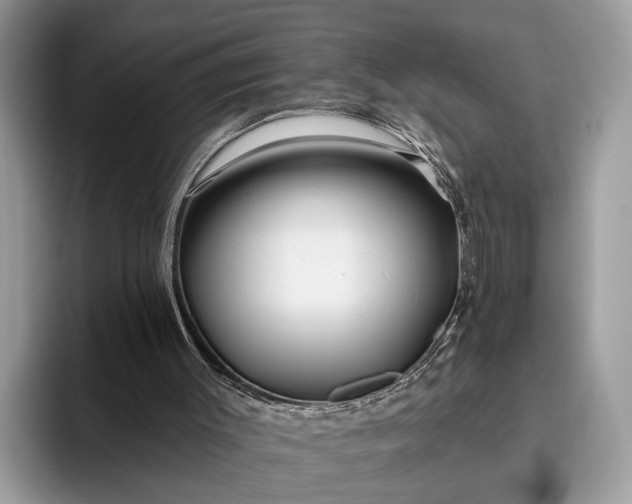 X0000095920003200801251039