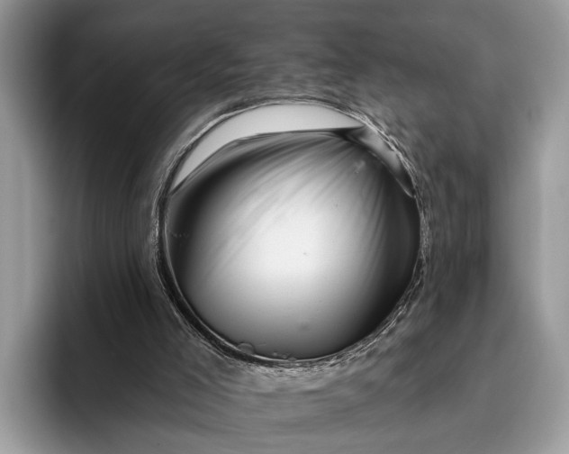 X0000095920005200801251039