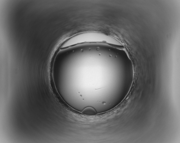 X0000095920006200801251039