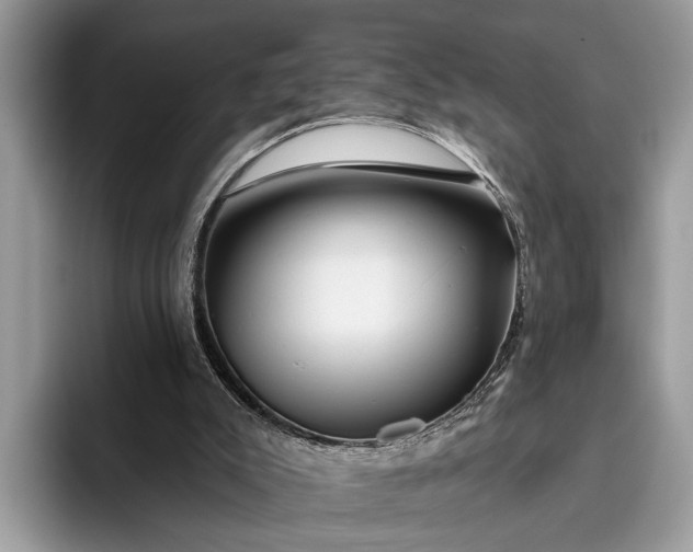 X0000095920007200801251039