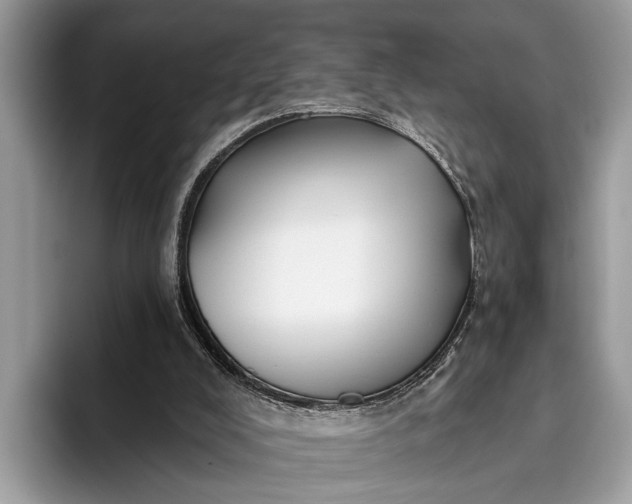 X0000095920008200801251039