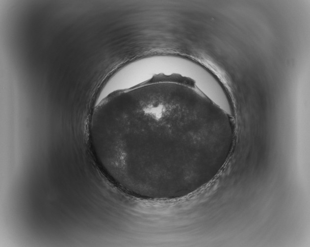 X0000095920009200801251039