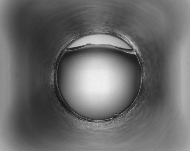 X0000095920010200801251039