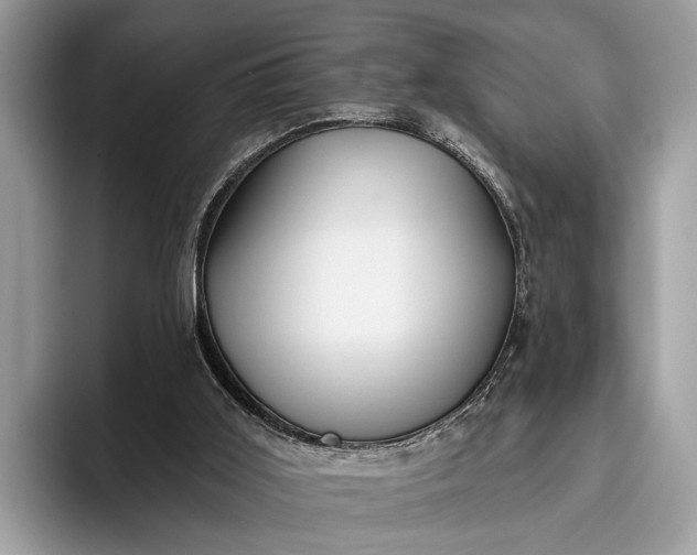 X0000095920011200801251039