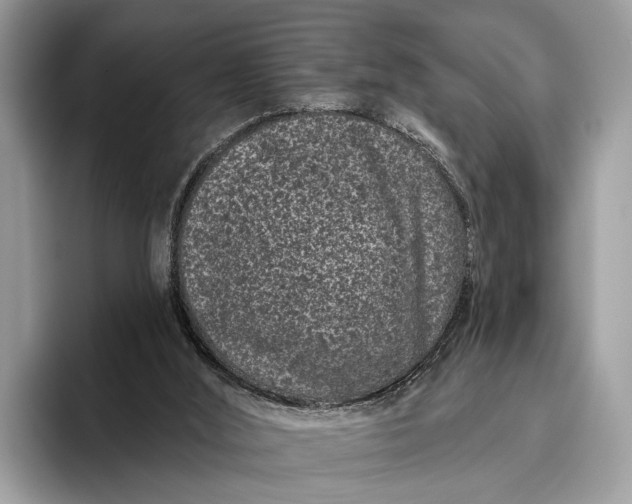 X0000095920012200801251039