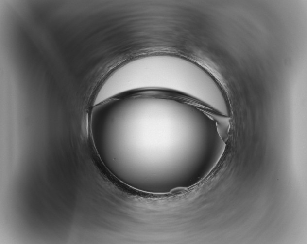 X0000095920013200801251039