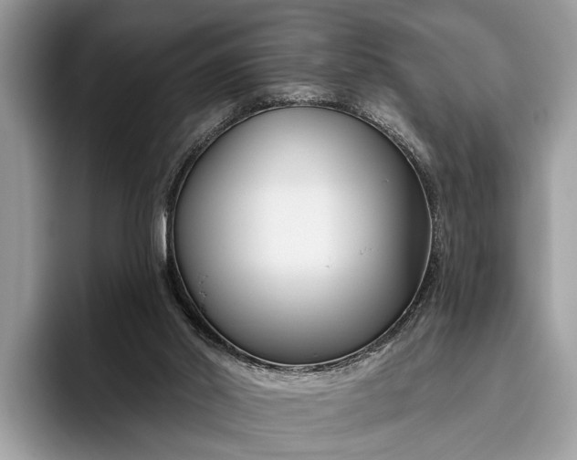 X0000095920014200801251039