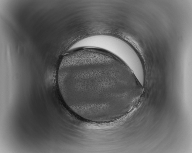 X0000095920017200801251039