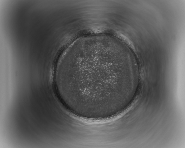 X0000095920018200801251039