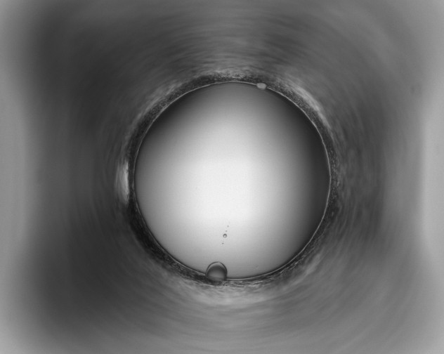 X0000095920020200801251039