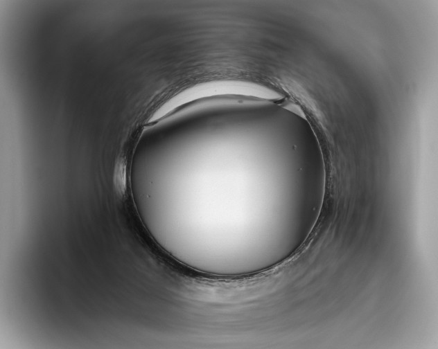 X0000095920021200801251039