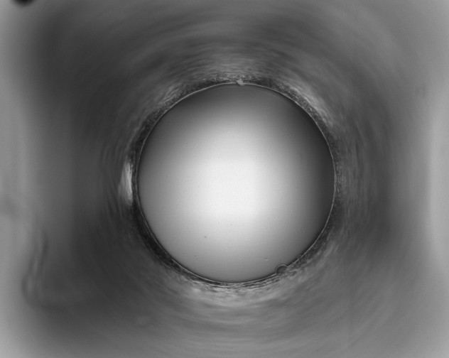 X0000095920022200801251039