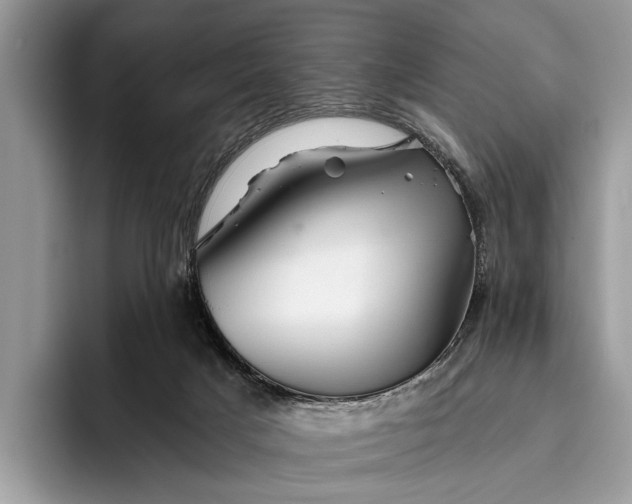 X0000095920025200801251039