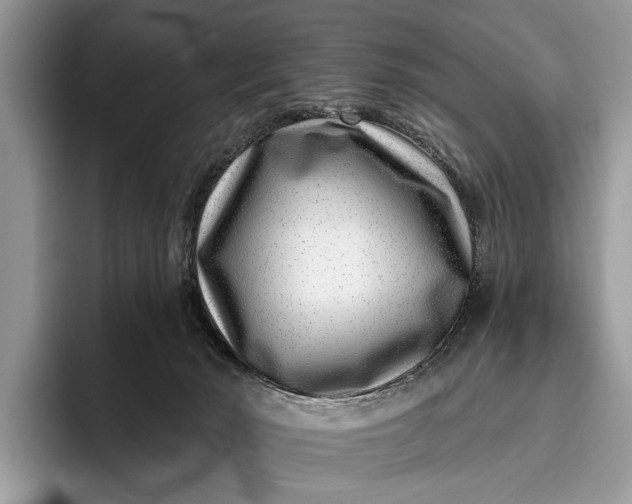 X0000095920030200801251039