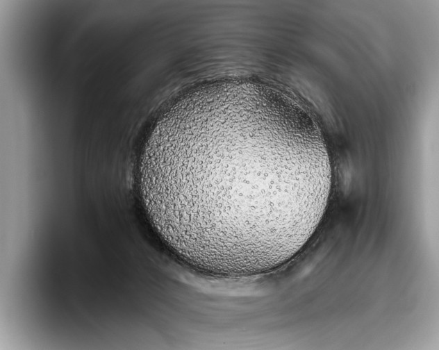 X0000095920032200801251039