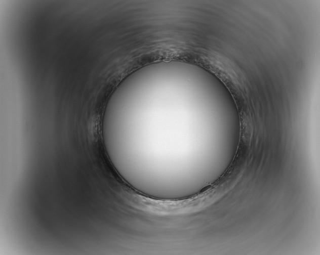 X0000095920034200801251039