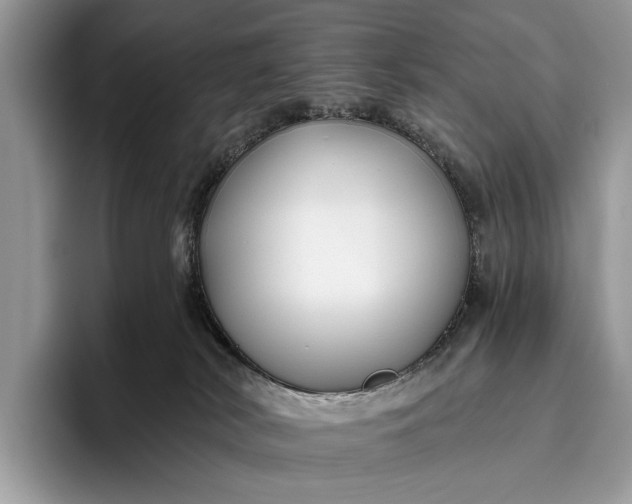 X0000095920038200801251038