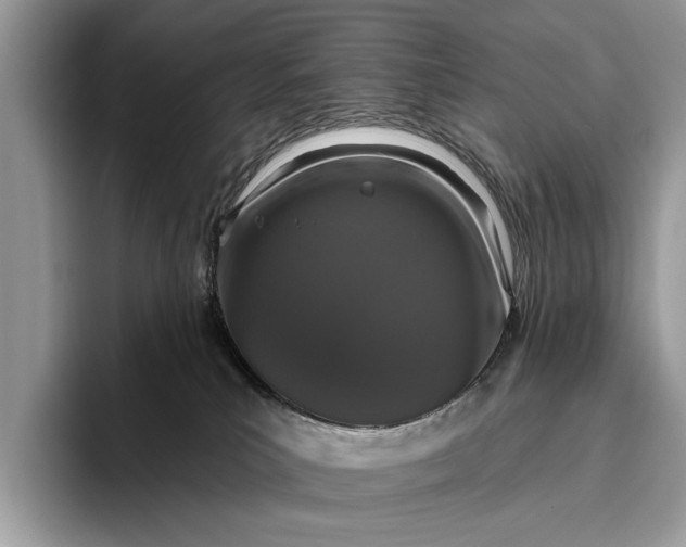 X0000095920039200801251038