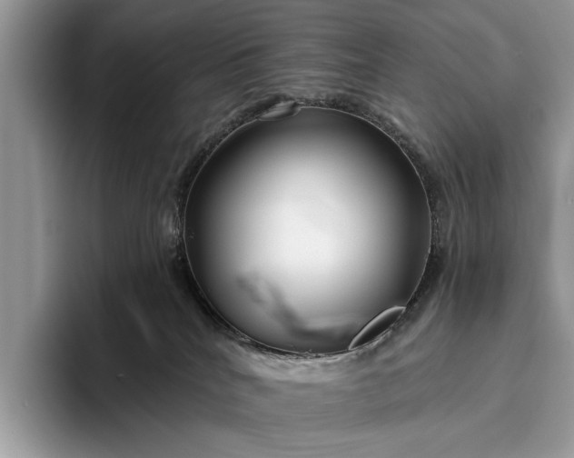 X0000095920040200801251038