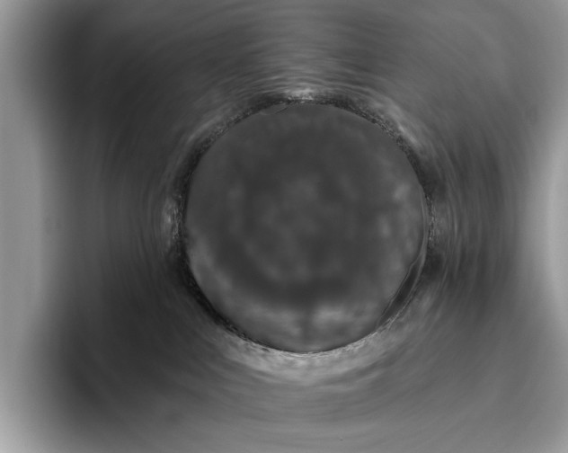 X0000095920043200801251038