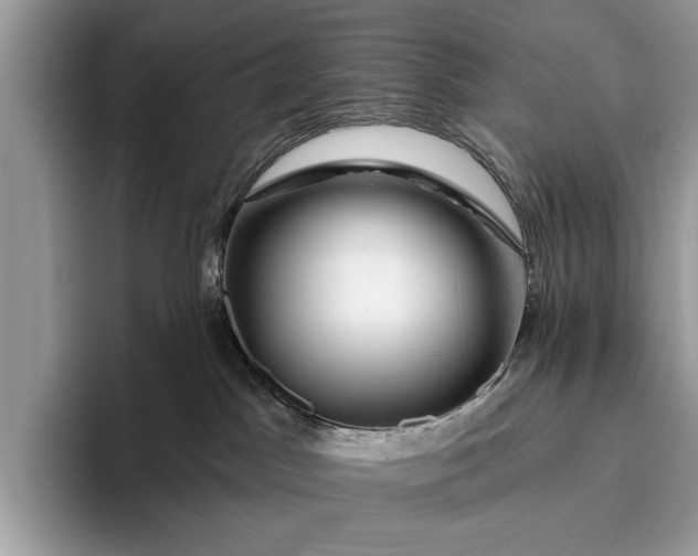 X0000095920045200801251038